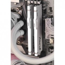 .Actina Gaming GameOn