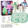 Educational Kit Experience Growing Crystal Trees