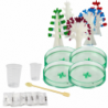 Educational Kit Experience Growing Crystal Trees
