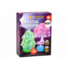 Educational Kit Experience Growing Crystal Trees