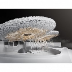 Robot sprzątający Mova by Dreame V50 Ultra Complete (biały)