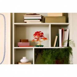 LEGO BOTANICALS 10348 Japanese Red Maple Bonsai Tree