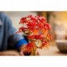 LEGO BOTANICALS 10348 Japanese Red Maple Bonsai Tree