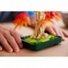 LEGO BOTANICALS 10348 Japanese Red Maple Bonsai Tree