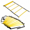 Gymnastic Training Ladder For Coordination Exercises 6m