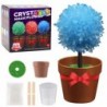 Crystal Growing Magic Crystal Tree Educational Experiment