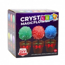 Crystal Growing Magic Crystal Tree Educational Experiment
