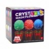Crystal Growing Magic Crystal Tree Educational Experiment