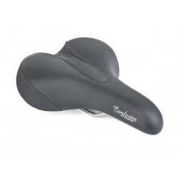 Author Saddle ASD Comforter...