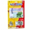 Set of Toy Money Euro Banknotes Coins Euro Pendant