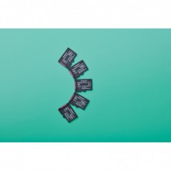 Kingston Technology 256GB micSDXC Canvas Select Plus Gen3 150R A1 Single Pack w/o ADP