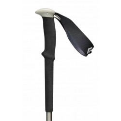 Kije trekkingowe Black Diamond Trail Trekking Poles Pine Smoke