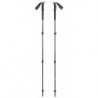 Kije trekkingowe Black Diamond Trail Trekking Poles Pine Smoke