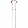 Kije trekkingowe Black Diamond Trail Cork Trekking Poles Fig