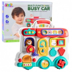 Interactive Educational Car...