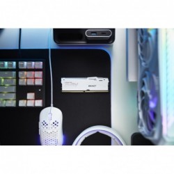 Kingston Technology FURY Beast 64GB 6000MT/s DDR5 CL36 DIMM (Kit of 2) White RGB EXPO