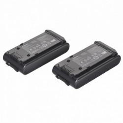 Samsung VS80F28DGS/GE Bespoke AI Jet Lite Pro 2-in-1 upright vacuum cleaner Battery Bagless 0.5 l