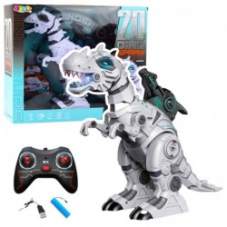 RC Remote Controlled Robot...