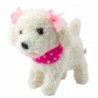 Interactive Poodle Dog with Bows on a Leash Walks and Barks White