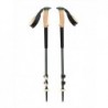 Kije trekkingowe Black Diamond TRAIL CORK TREKKING POLES - laurel green