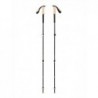 Kije trekkingowe Black Diamond TRAIL CORK TREKKING POLES - laurel green