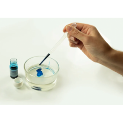 Scientific Fun Marine Soaps Kit Clementoni 50709