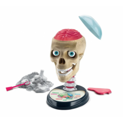 Scientific Fun Crazy Anatomy Kit Clementoni 50697