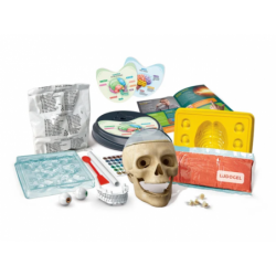 Scientific Fun Crazy Anatomy Kit Clementoni 50697