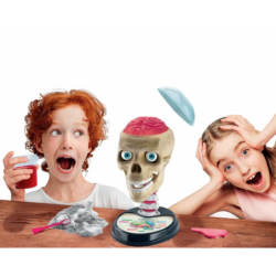 Scientific Fun Crazy Anatomy Kit Clementoni 50697