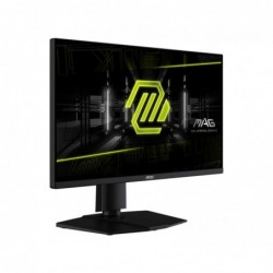 Monitor MAG 255PXF