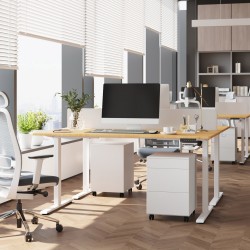 Desk ERGO FIT with 1 motor 120x60xH71,5-116cm, white