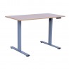 Töölaud ERGO FIT 1-motoriga 120x68xH71,5-116cm, tamm hõbehall