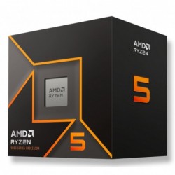 AMD Ryzen 5 9600 processor...