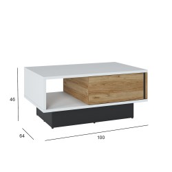 Coffee table SALINAS 100x64xH46cm