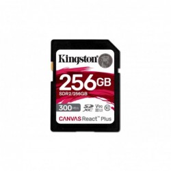 Kingston Technology 256GB...