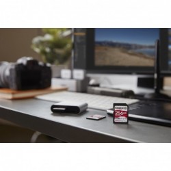 Kingston Technology 256GB Canvas React Plus SDXC UHS-II 300R/260W U3 V90 for Full HD/4K/8K