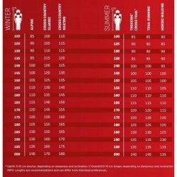 LEKI Kije BOLD LITE S black 115