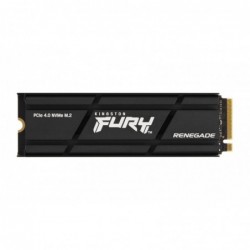 Kingston Technology 2000G...