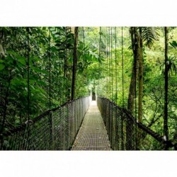 HP EliteBook 6 G1a Ryzen AI 5 340 14.0"WUXGA IPS 300nits AG 16GB DDR5 5600 SSD512 5MP+IR Radeon 840M W11Pro Pike Silver