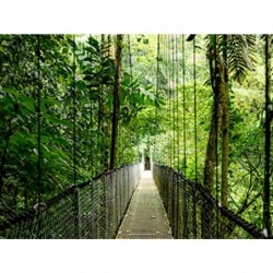 HP EliteBook 6 G1a Ryzen AI 5 340 14.0"WUXGA IPS 300nits AG 16GB DDR5 5600 SSD512 5MP+IR Radeon 840M W11Pro Pike Silver