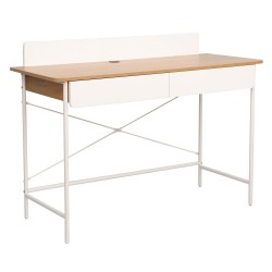 Desk FERDIE 120x48xH88cm, ash white