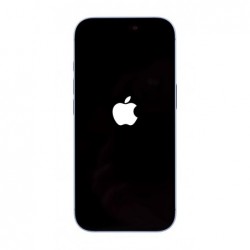 Apple iPhone 17 16 cm (6.3") Dual SIM iOS 26 5G USB Type-C 256 GB Blue