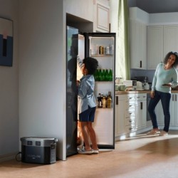 EcoFlow DELTA 2 Max portable power station Lithium Iron Phosphate (LiFePO4) 2400 W 23 kg