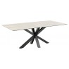 Dining table HEAVEN 200x100xH75,5cm, grey