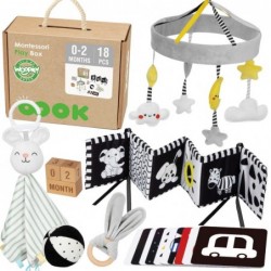 WOOPIE GREEN Pudełko XXL...