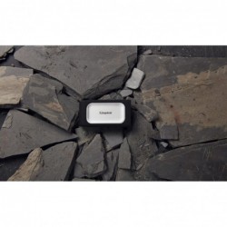 Kingston Technology 4000G PORTABLE SSD XS2000