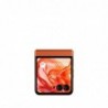 Motorola Razr 50 5G DS 8/256GB Spritz Orange