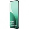 OPPO Reno 14 FS 5G DS 12/512 GB Green smartphone