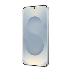 Samsung Galaxy S25 Enterprise Edition 15.8 cm (6.2") Dual SIM Android 15 5G USB Type-C 12 GB 128 GB 4000 mAh Silver