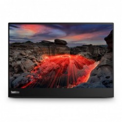 Lenovo ThinkVision M14t Gen...